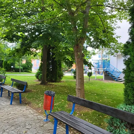 в комплекс елит 公寓