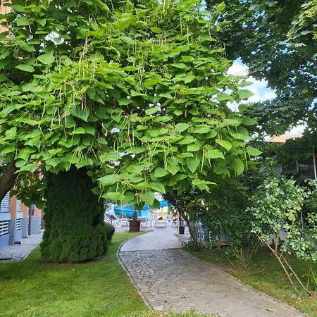 Apartment в комплекс елит